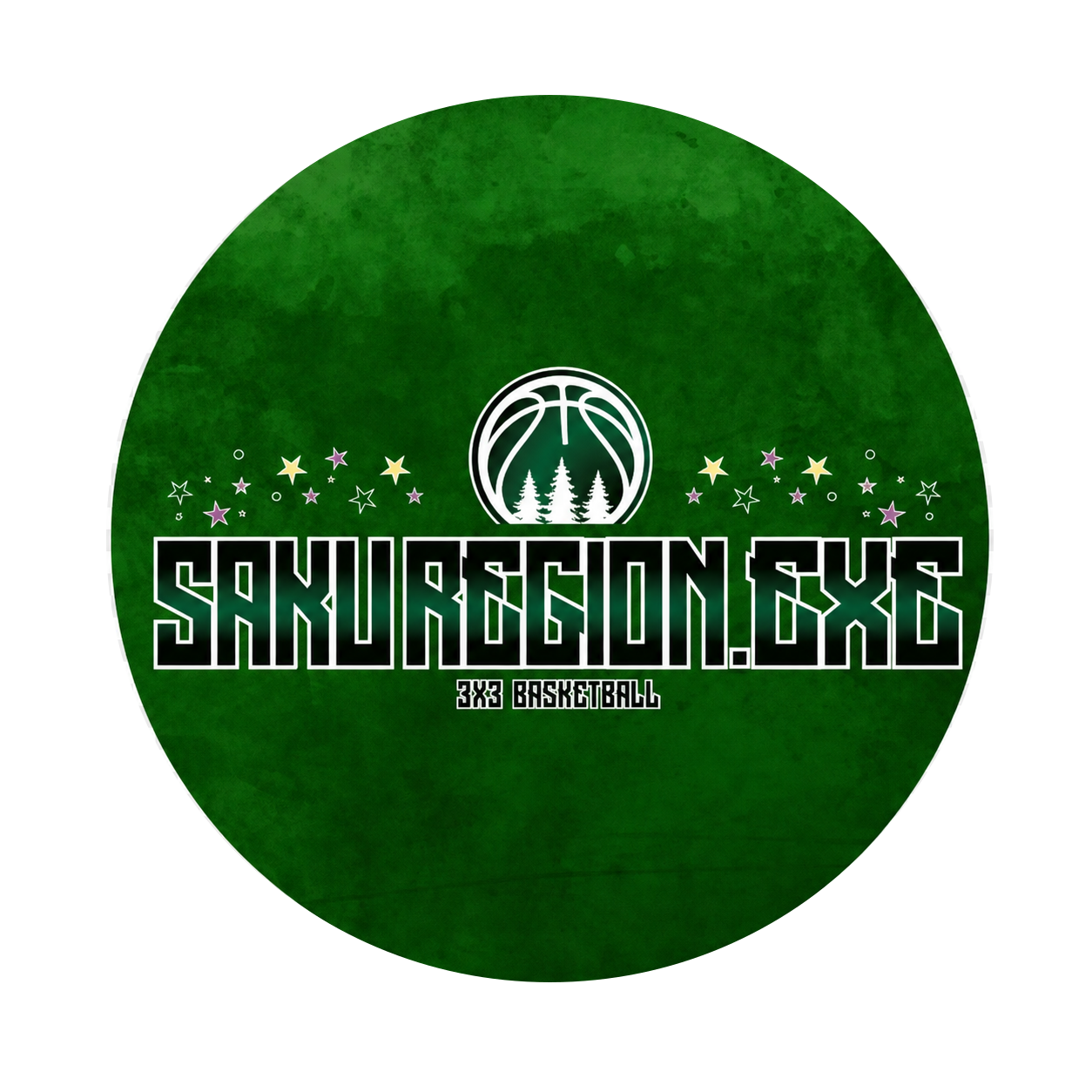 SHINSHU SAKU REGION.EXE